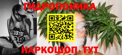 скорость Бердск