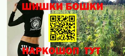 скорость Бердск