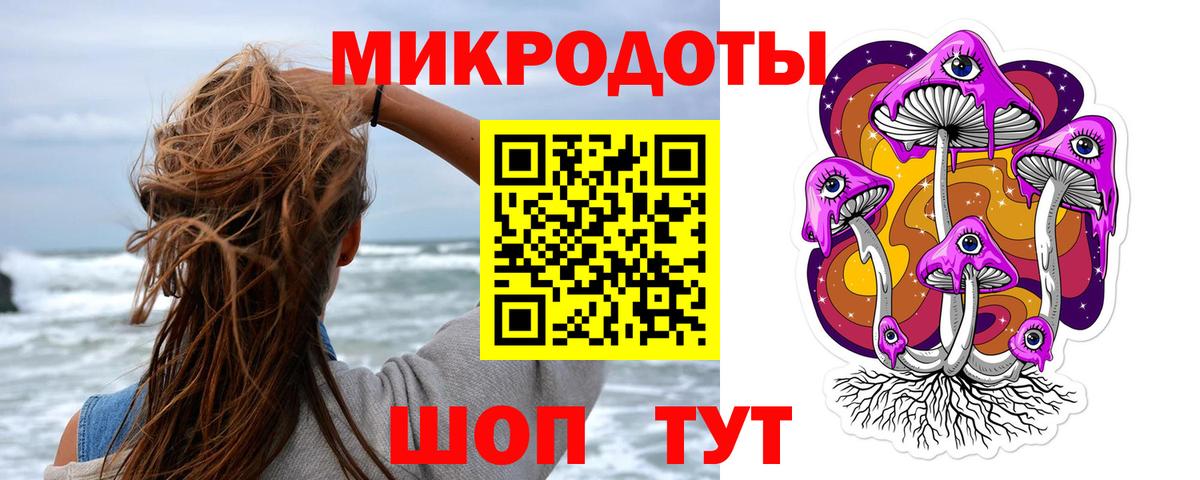 где продают   Вход с VPN  Псилоцибиновые грибы Cubensis  Бердск  Псилоцибиновые грибы прущие грибы 